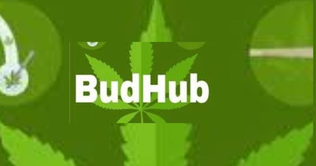 BudHubz: The Networking Platform for Cannabis Entrepreneurs