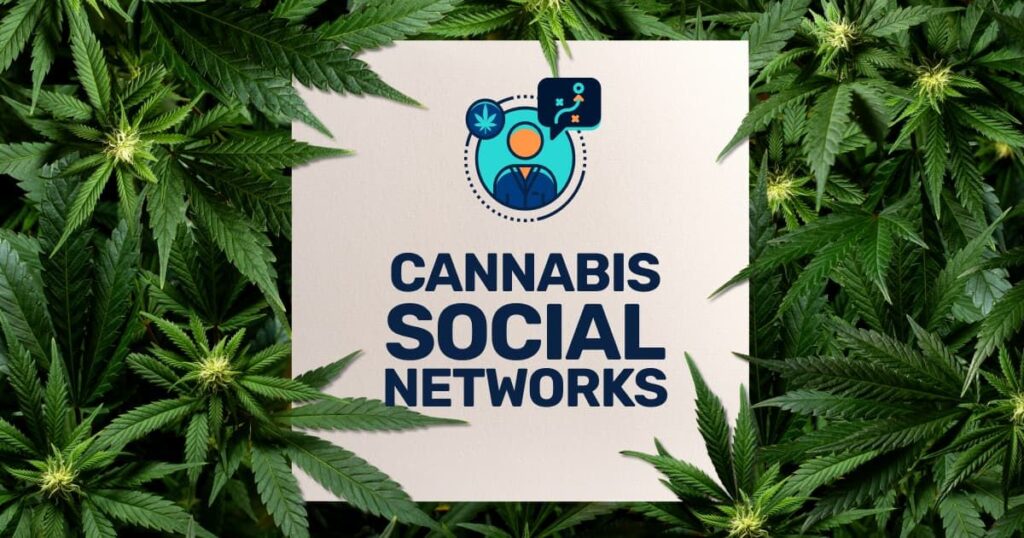 . High There: The Social Network for Cannabis Lovers