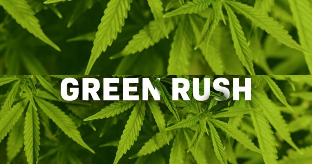 GreenRush: A Cannabis Industry Social Network